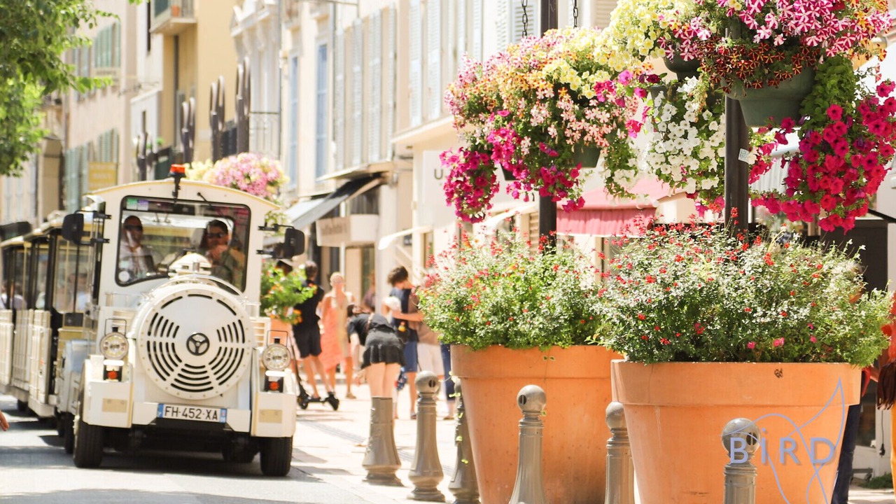Photo of Others in Antibes City Centre