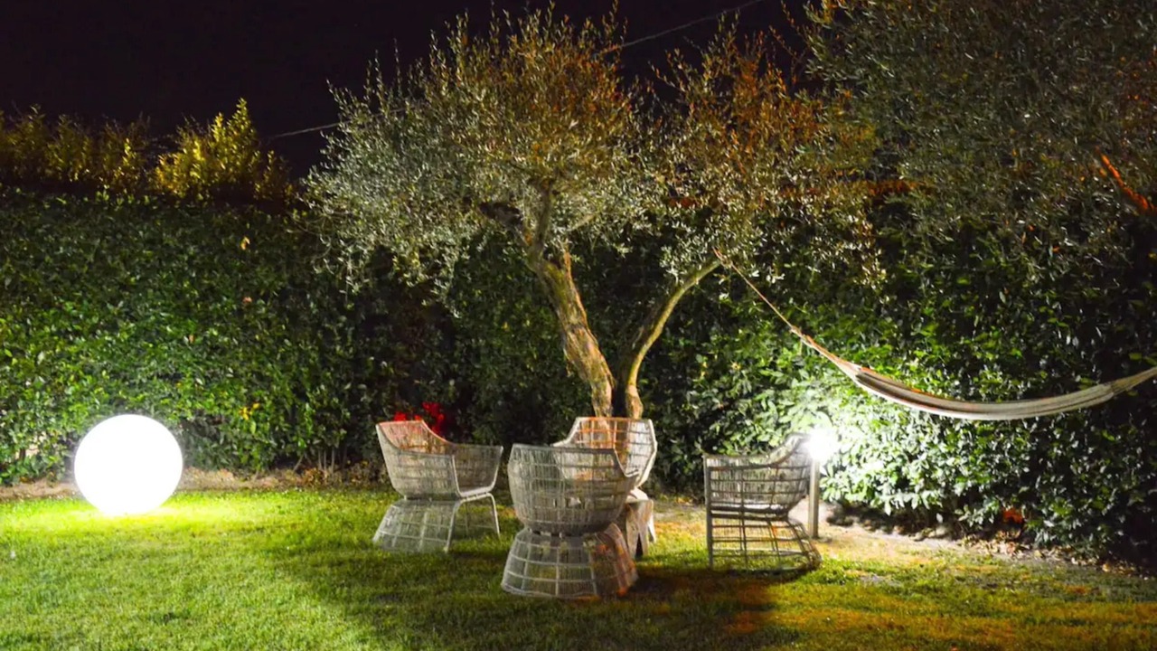 Photo of Outdoor in Vecchiano