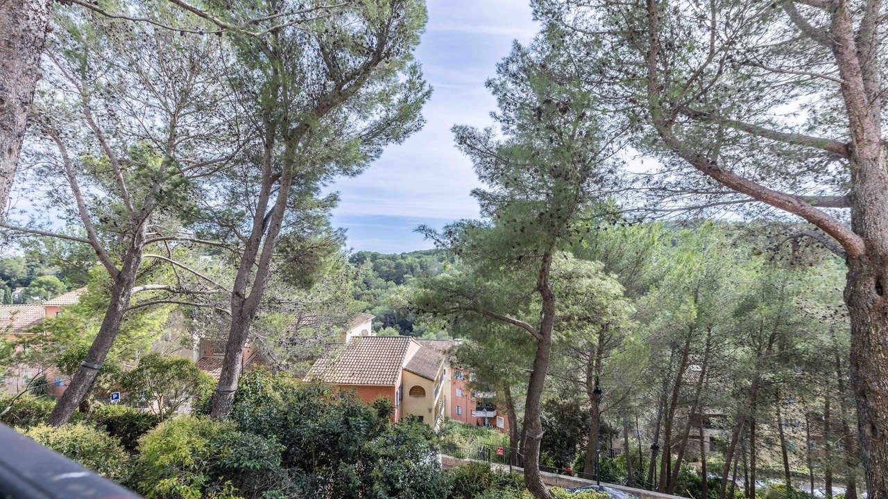 Photo of Others in Mougins