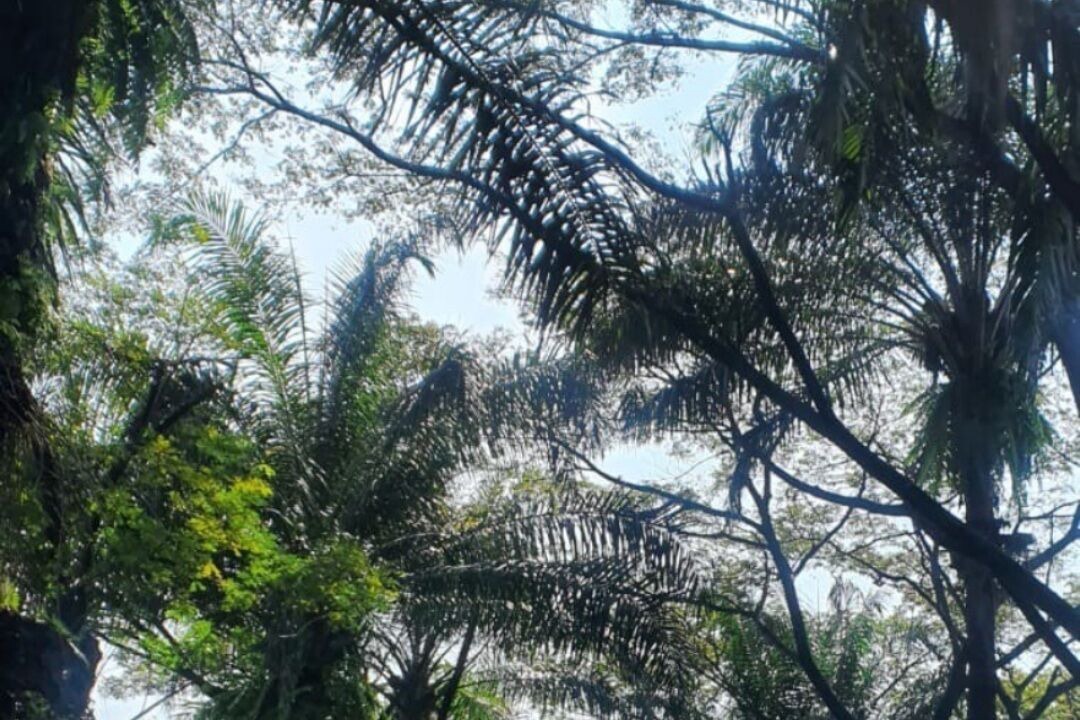 Photo of Others in Gunung Putri