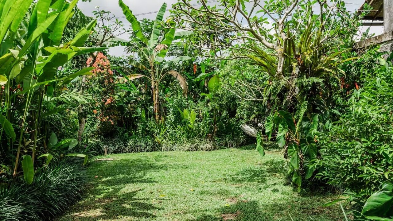 Photo of Outdoor in Ubud City-Centre