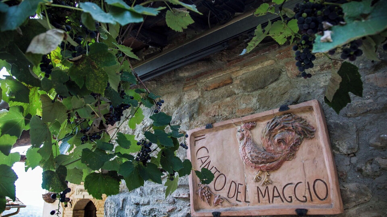 Photo of Others in Terranuova Bracciolini
