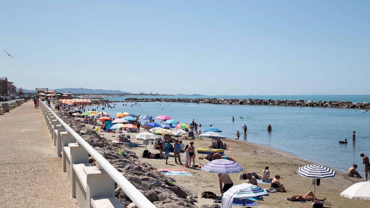 Photo of Others in Marina di Pisa