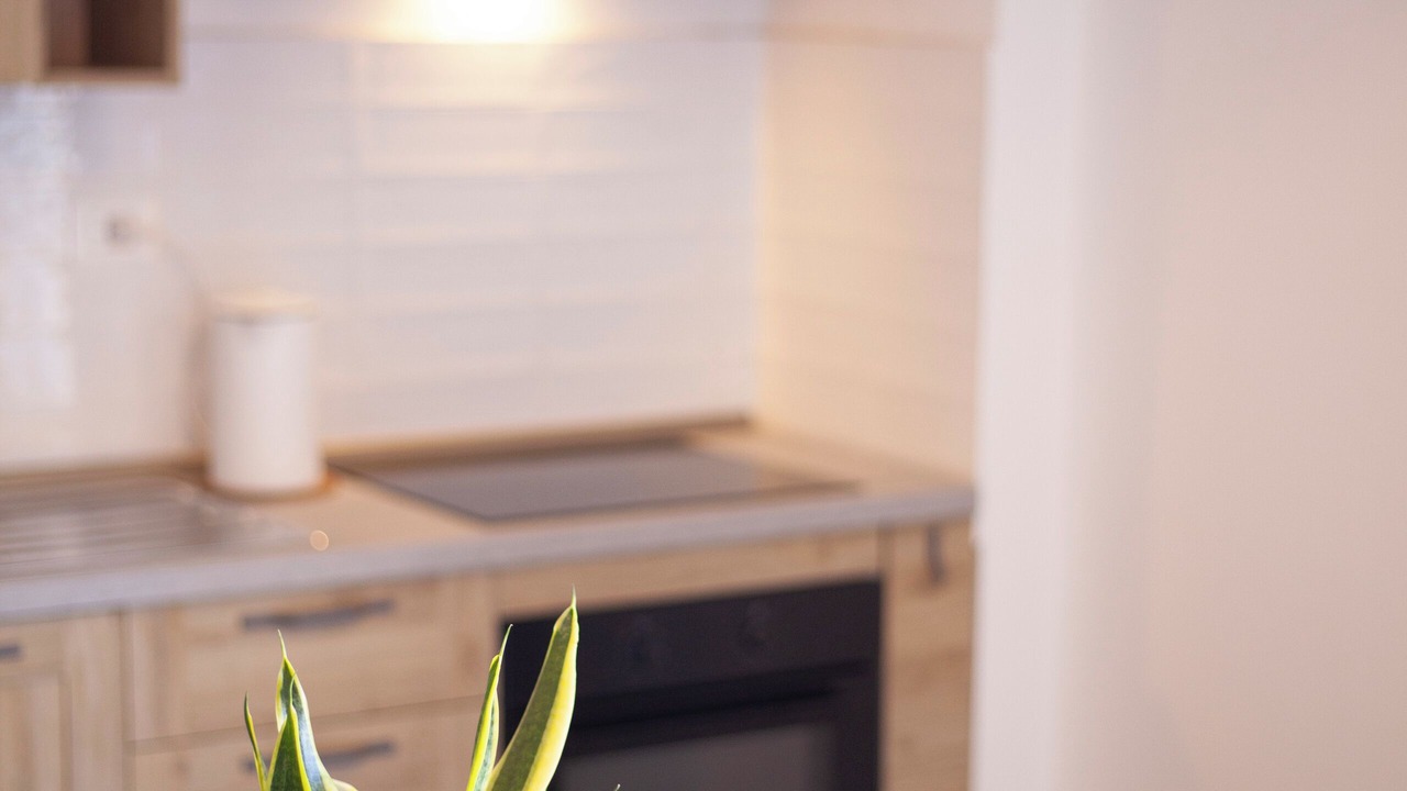 Photo of Kitchen in Marina di Pisa