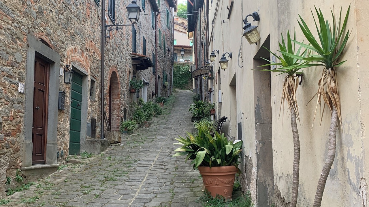 Photo of Outdoor in Collodi