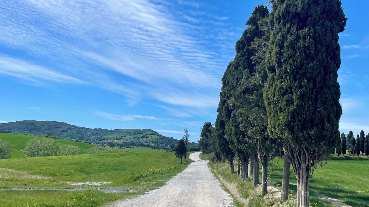 Photo of Others in Rosignano Marittimo
