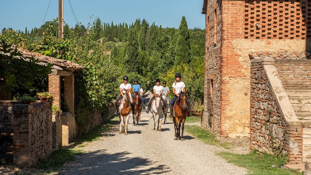 Photo of Others in Monteroni d'Arbia