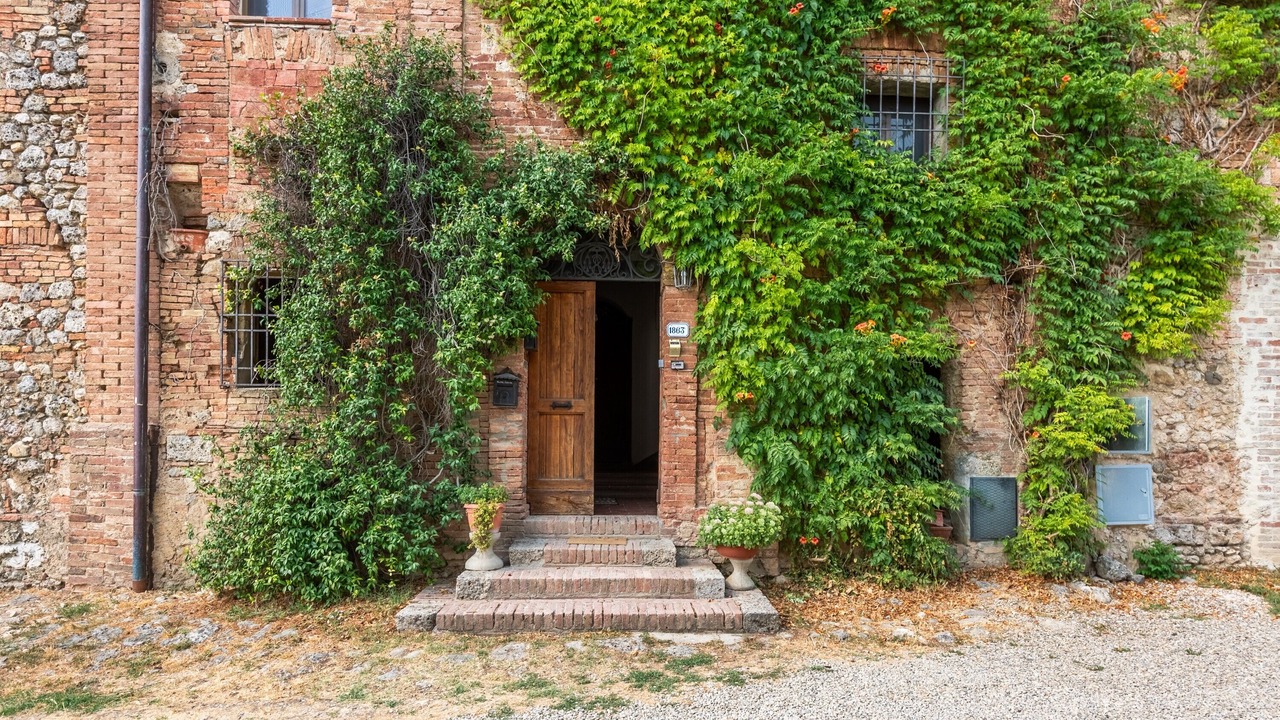 Photo of Outdoor in Monteroni d'Arbia