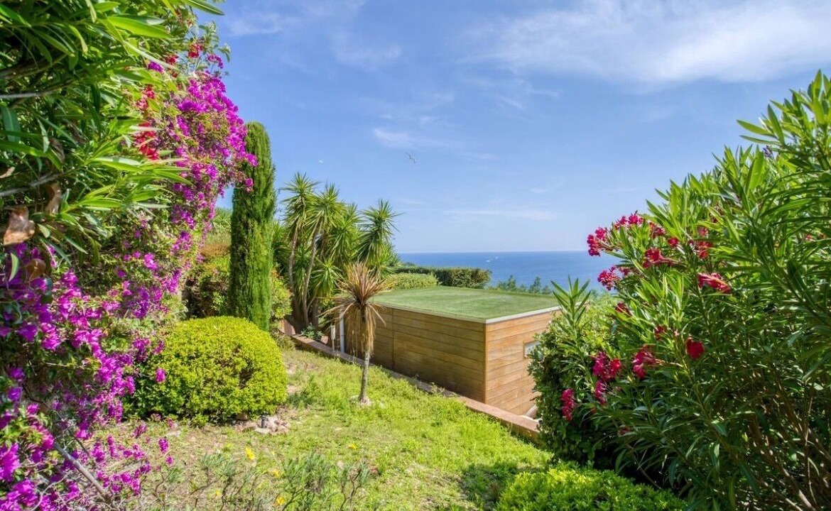 Photo of Outdoor in Theoule-Superieur