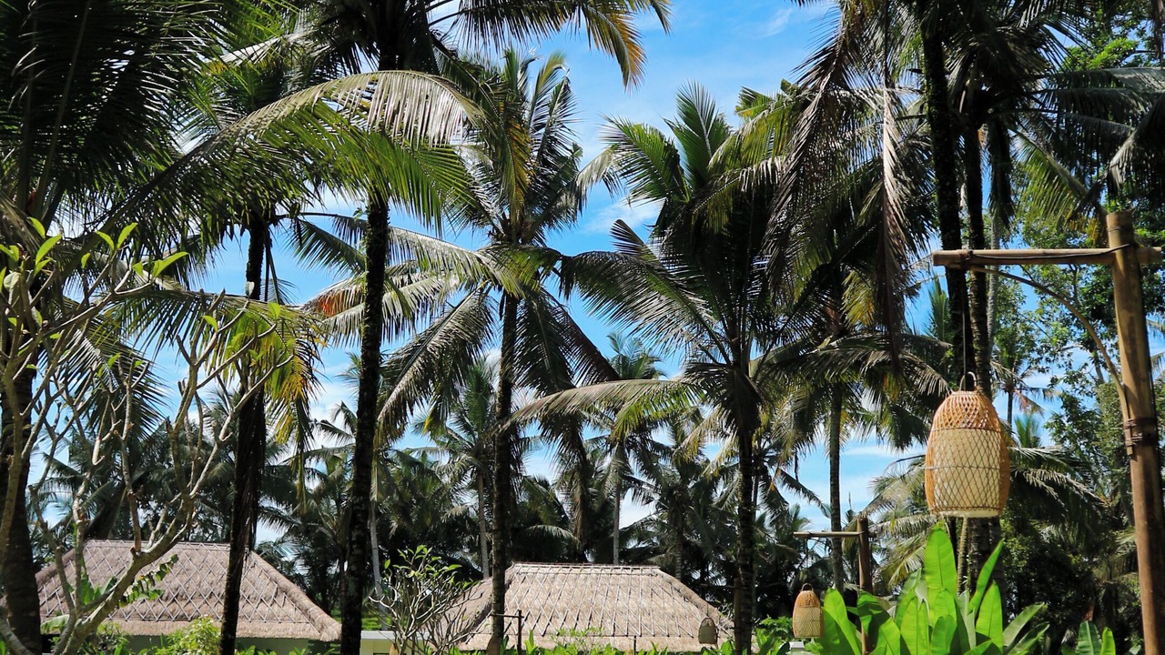 Photo of Outdoor in Ubud