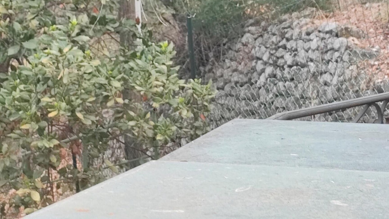Photo of Outdoor in Peille