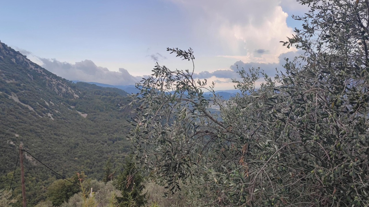 Photo of Others in Peille