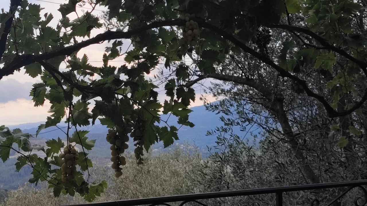 Photo of Patio Balcony in Peille