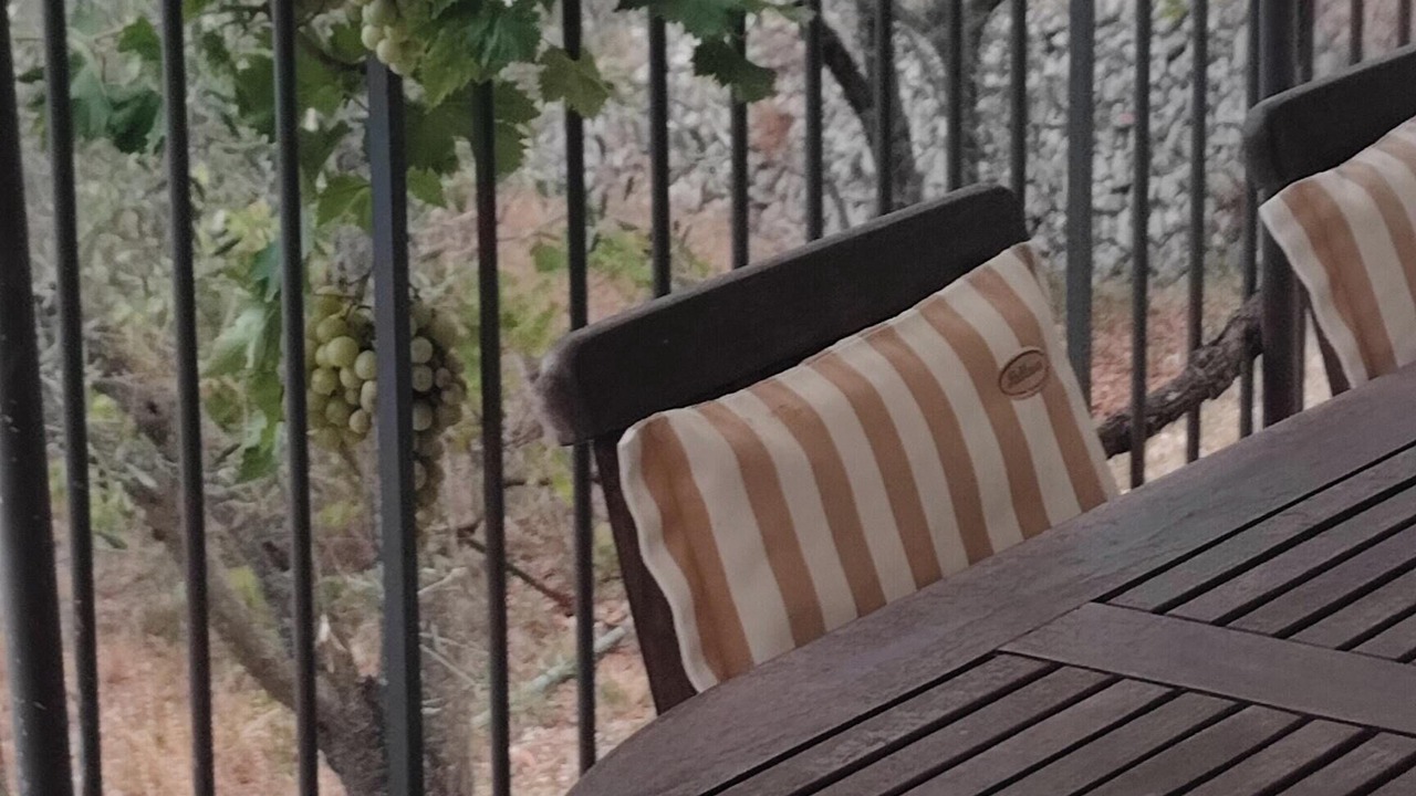 Photo of Outdoor in Peille