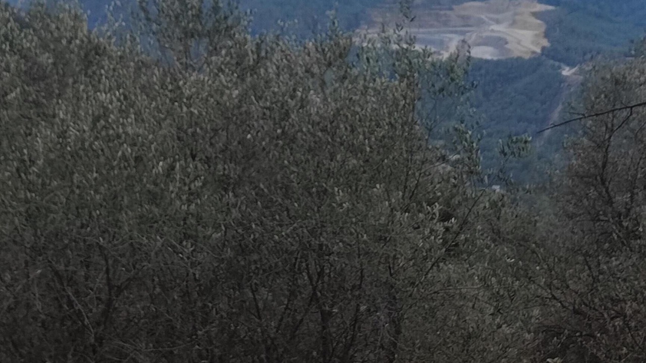 Photo of Others in Peille
