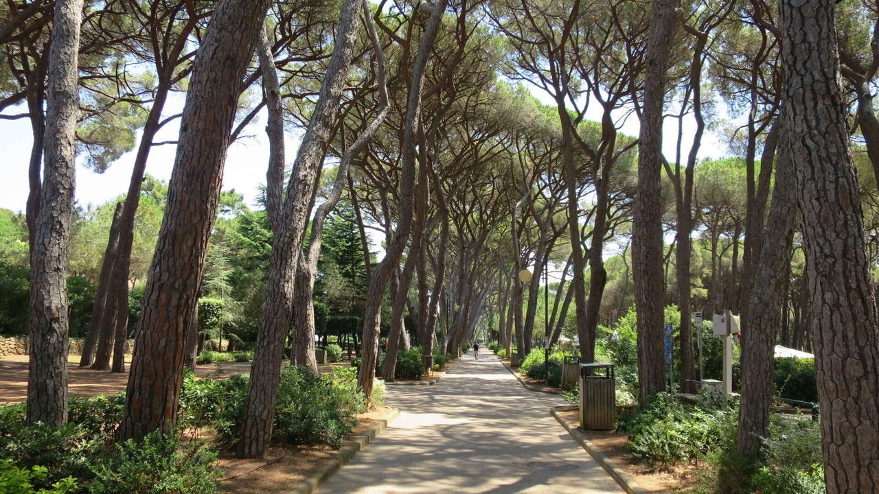 Photo of Others in Rosignano Marittimo