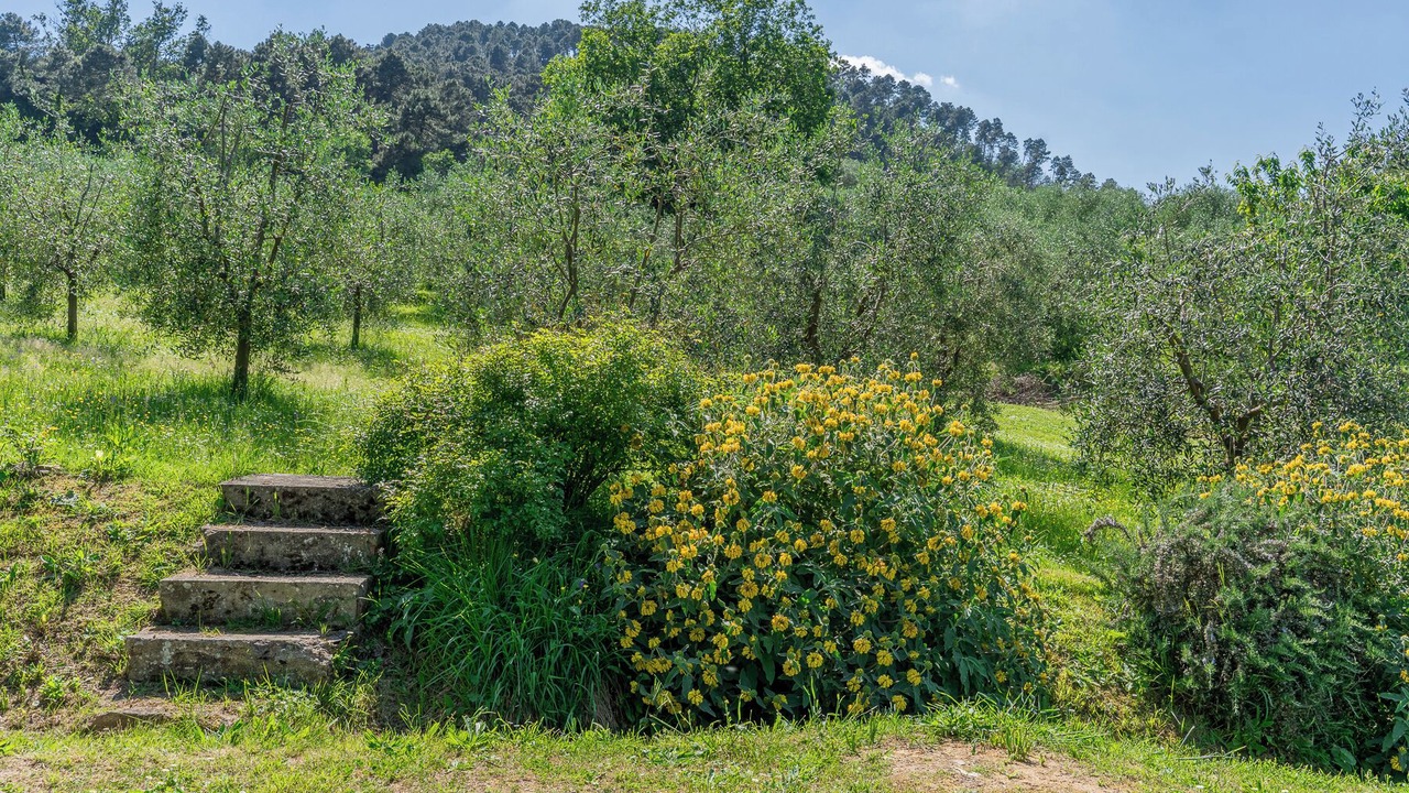 Photo of Outdoor in Colle di Compito