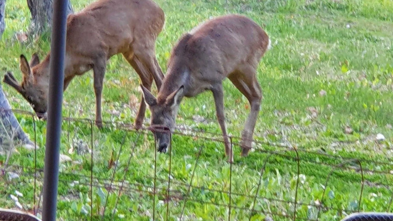 Photo of Outdoor in Saint-Blaise
