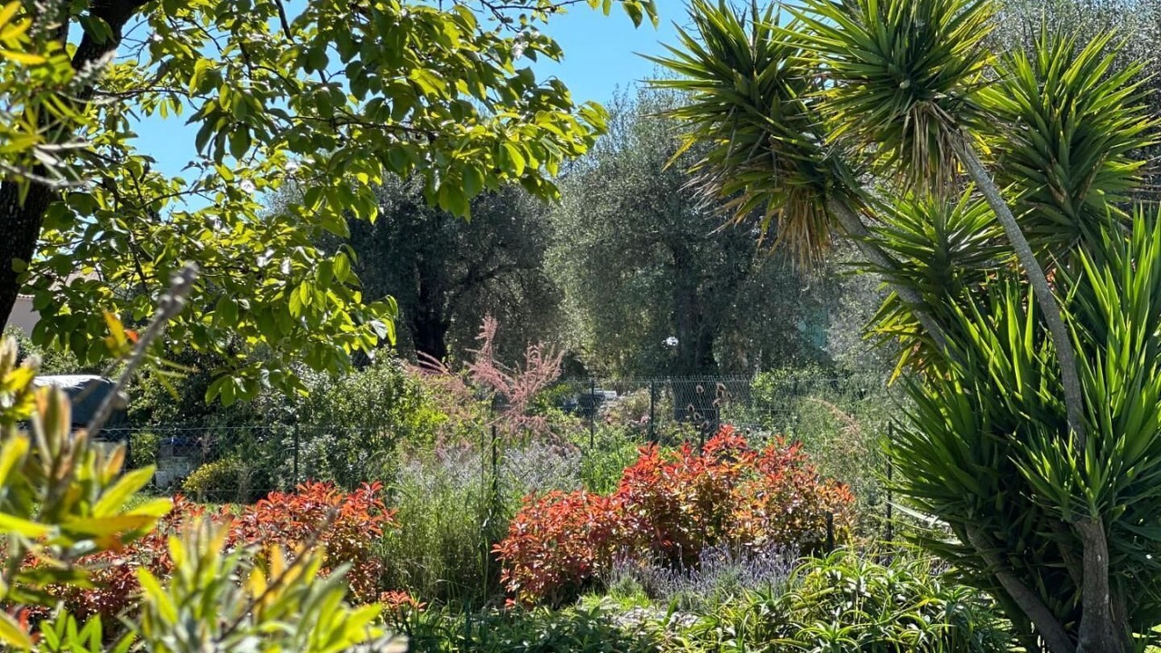 Photo of Outdoor in Saint-Jeannet