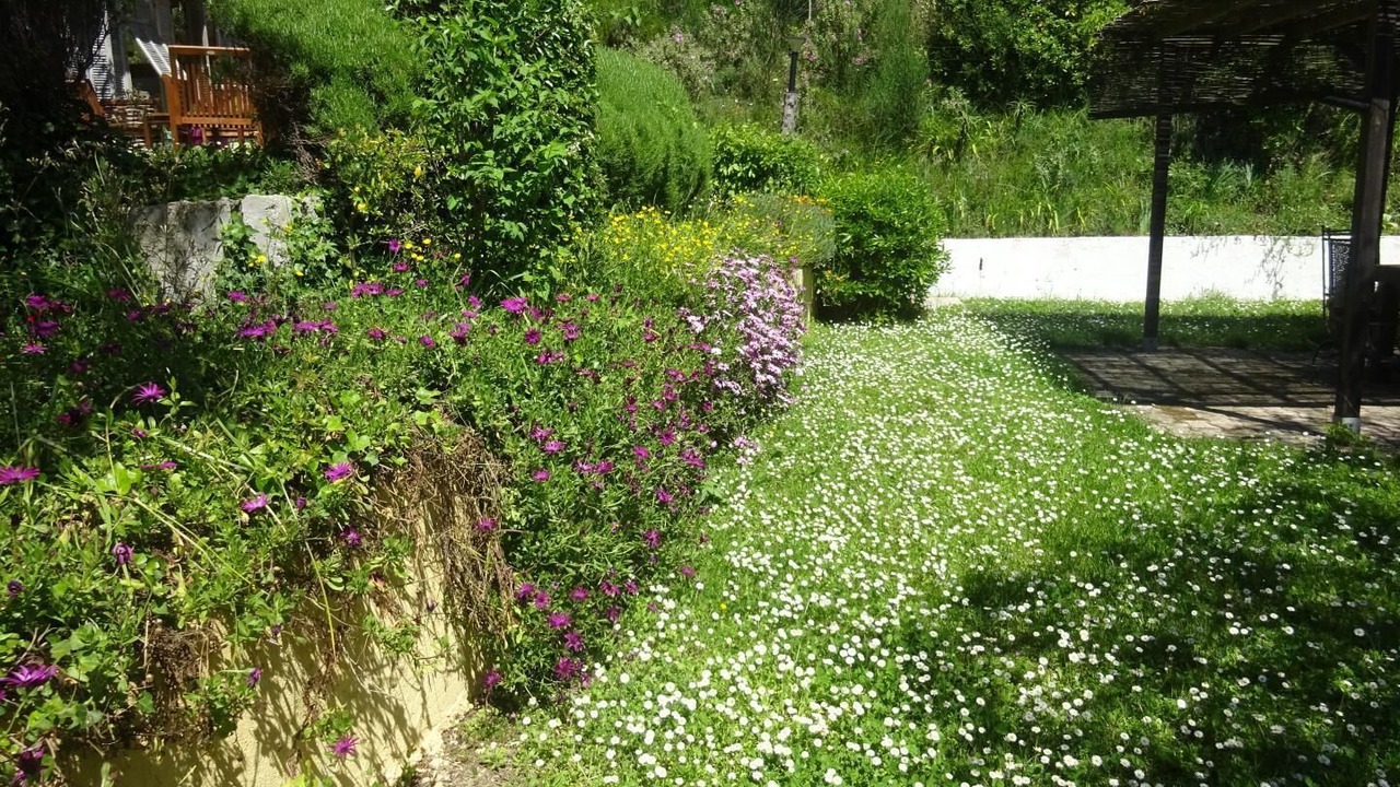 Photo of Outdoor in Colomars