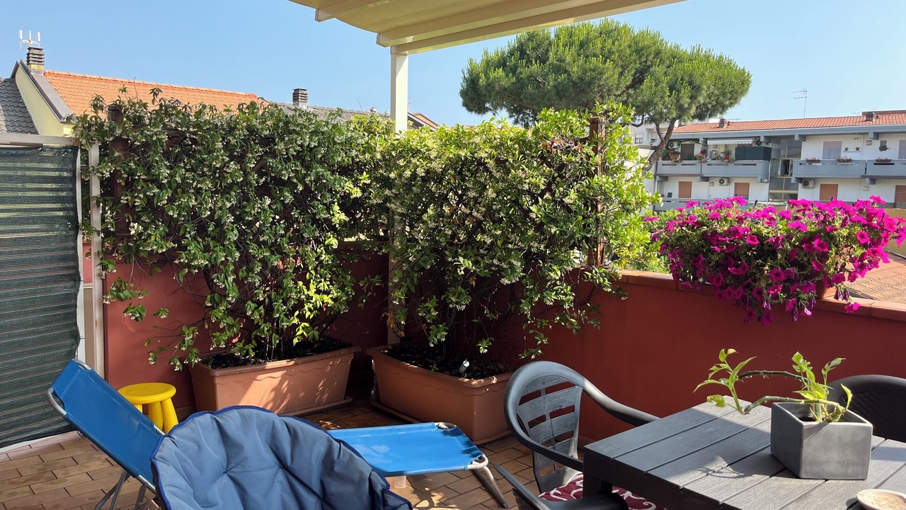 Photo of Others in Marina di Carrara