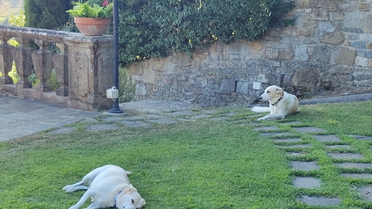 Photo of Outdoor in Florence