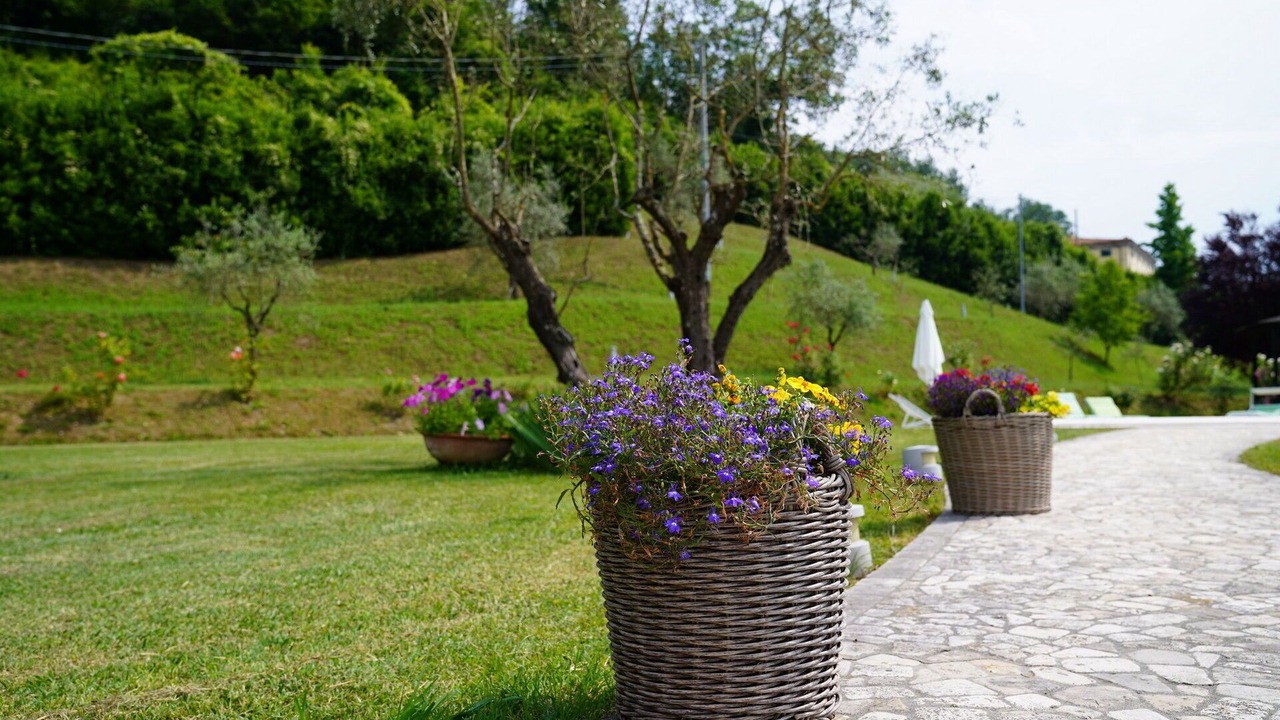 Photo of Outdoor in Gragnola