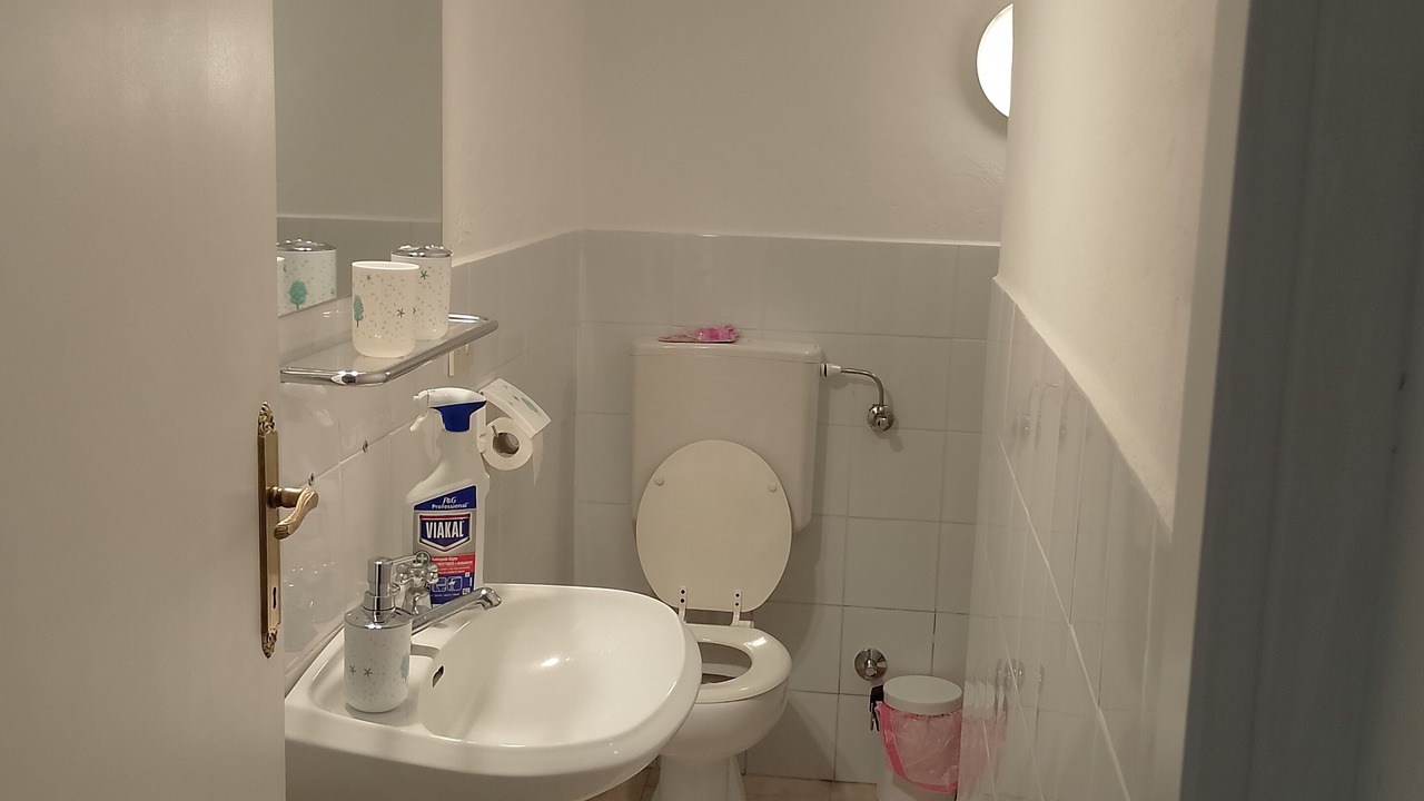 Photo of Bathroom in Migliarino