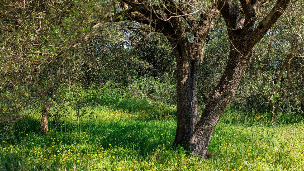 Photo of Outdoor in La Colle-sur-Loup