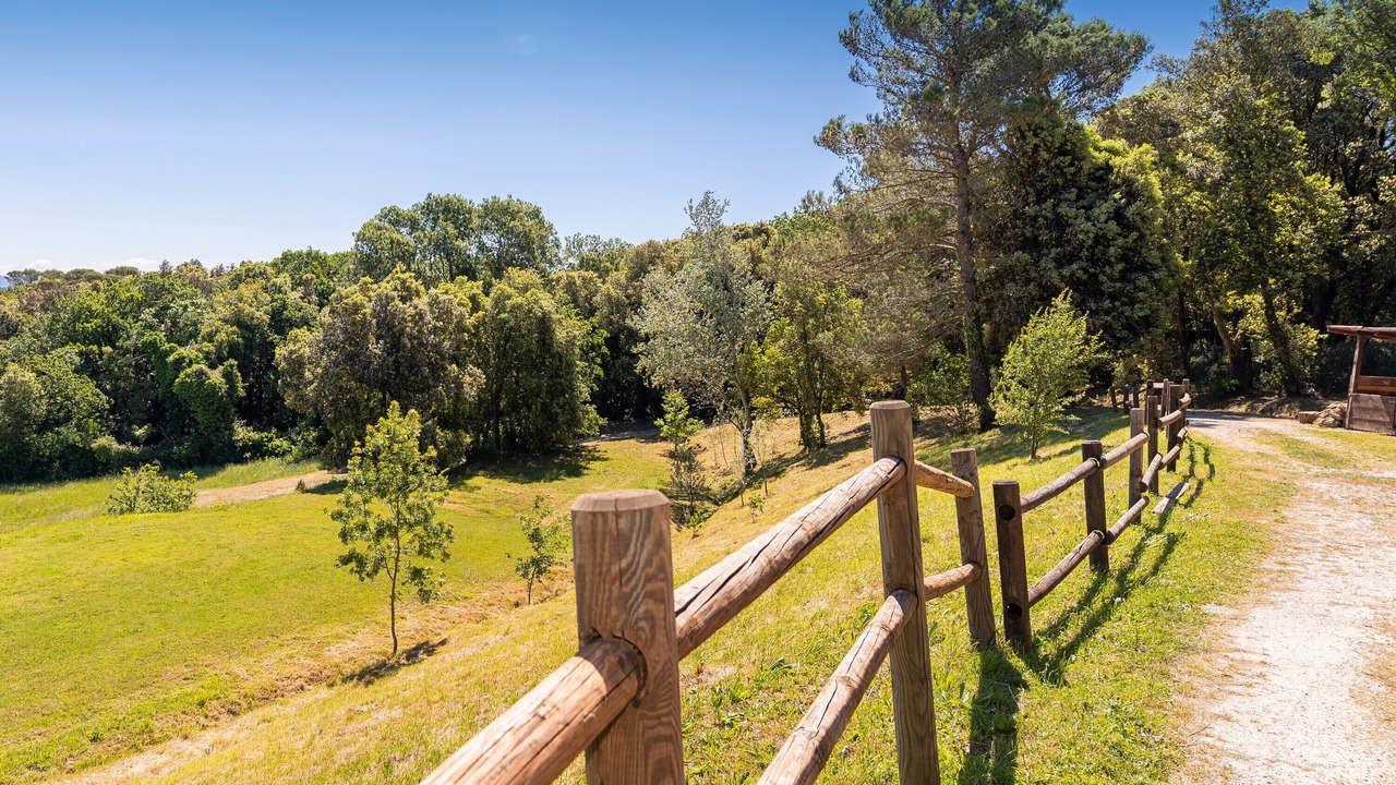 Photo of Outdoor in Livorno