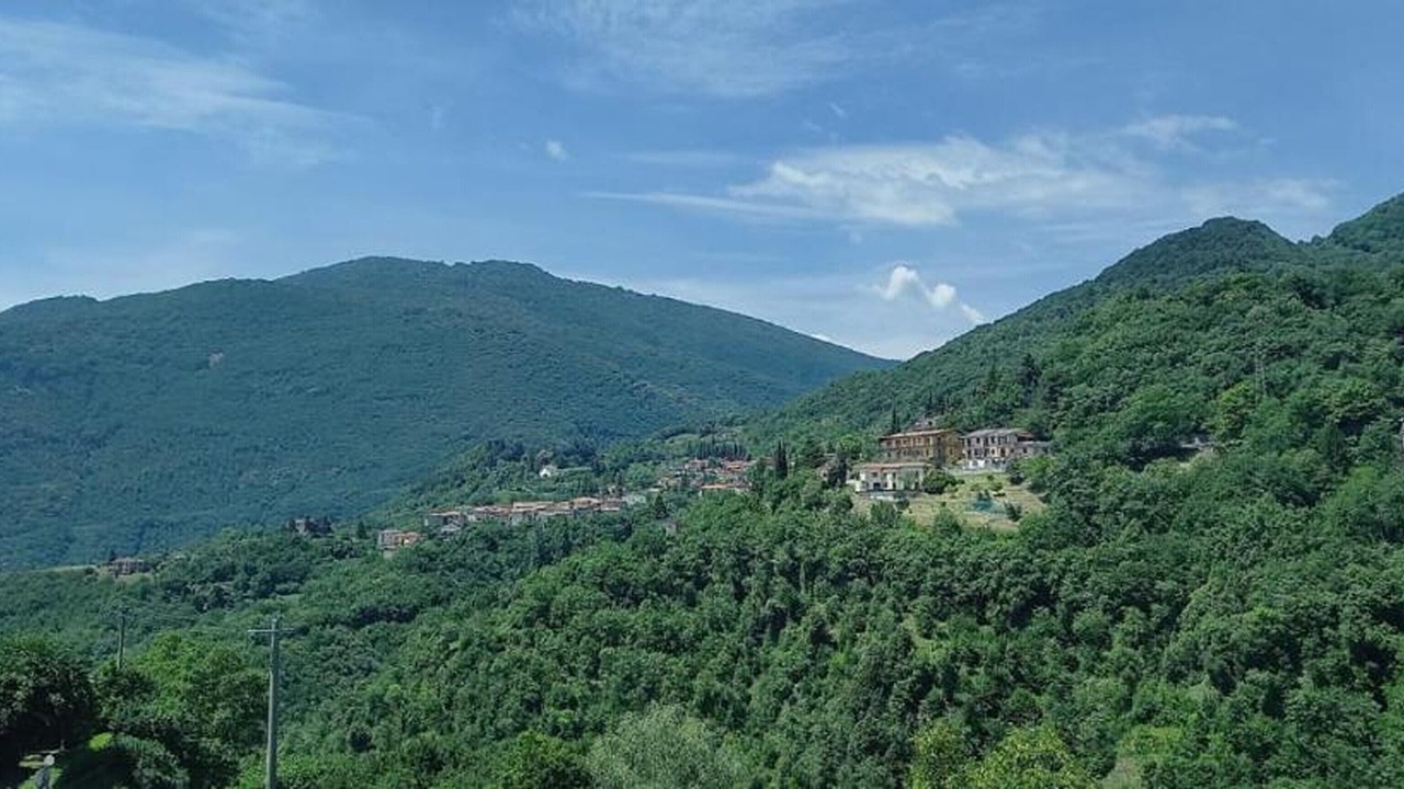 Photo of Others in Gardola