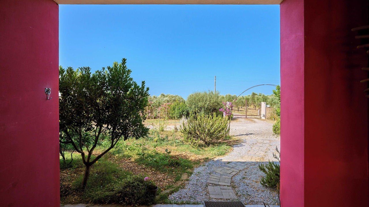Photo of Outdoor in Riotorto