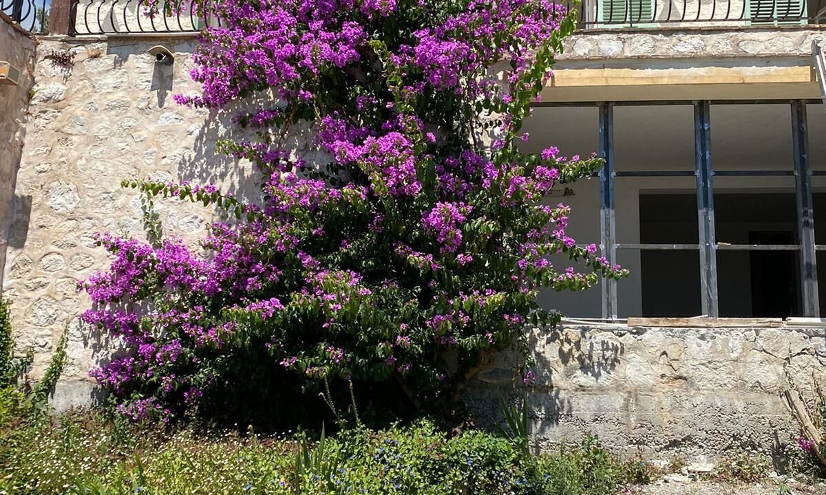 Photo of Outdoor in Tourrettes-sur-Loup