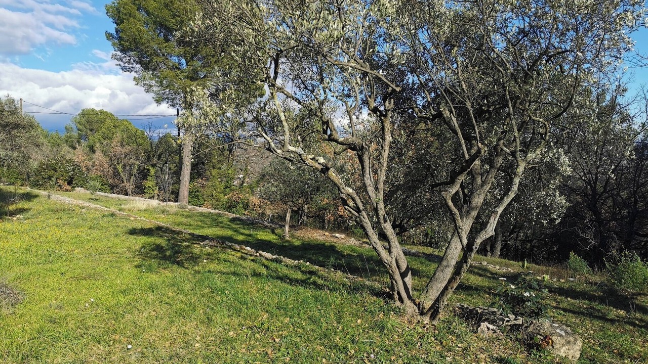 Photo of Others in Fayence