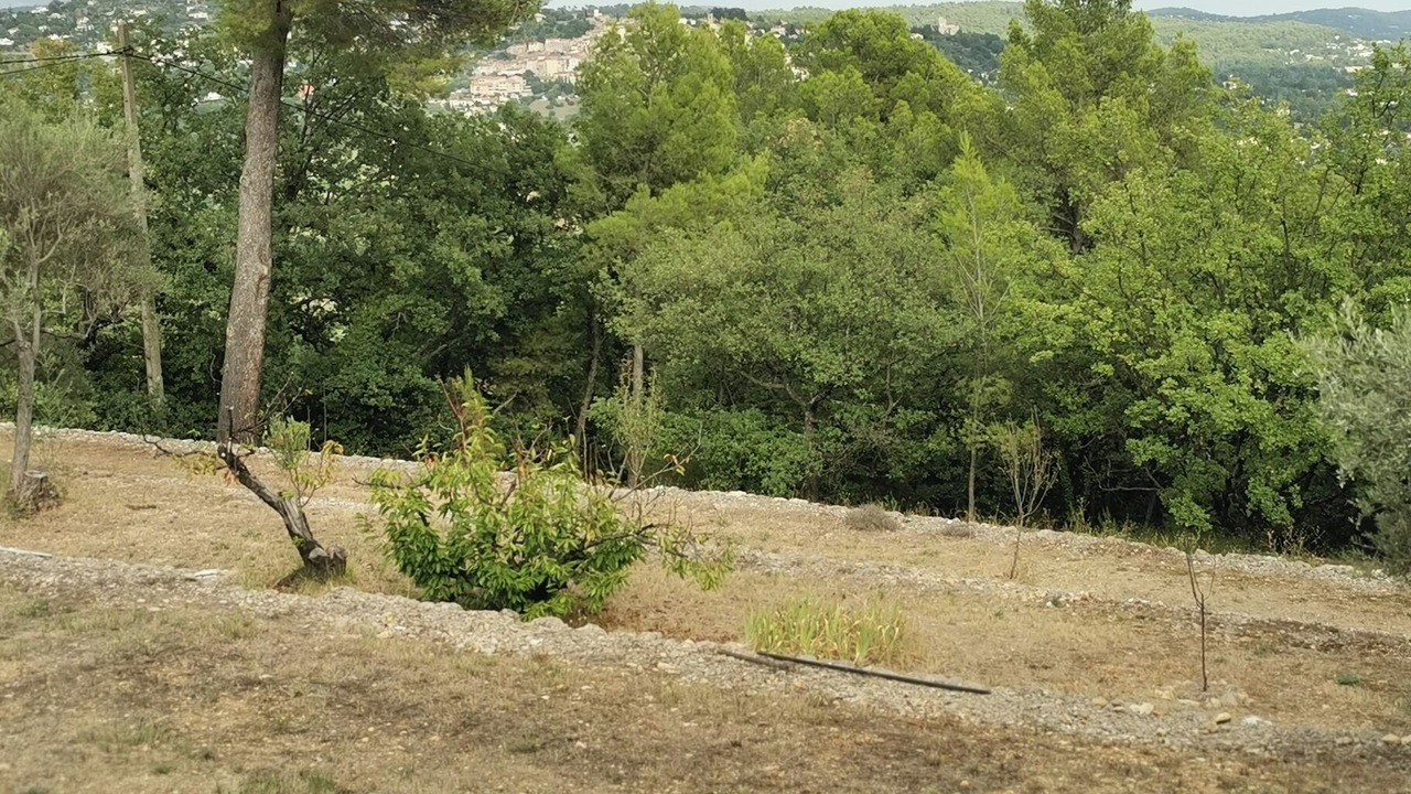 Photo of Others in Fayence