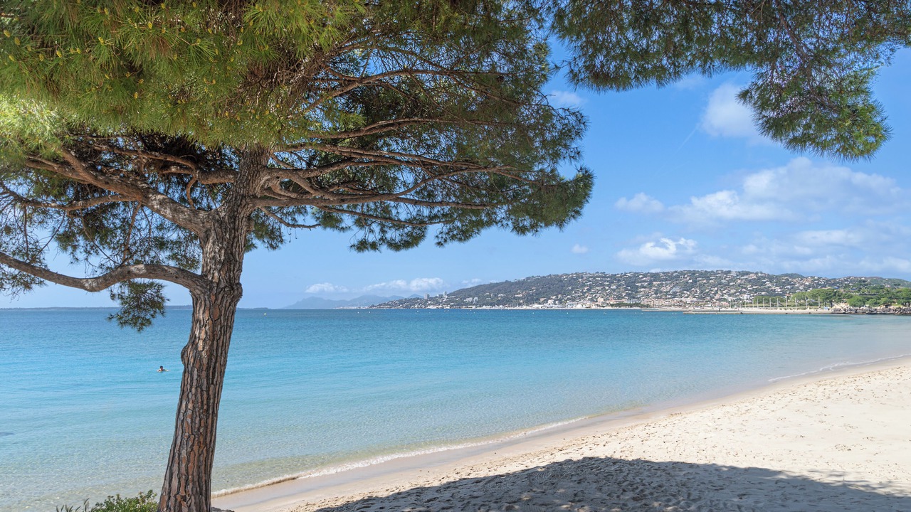 Photo of Others in Antibes