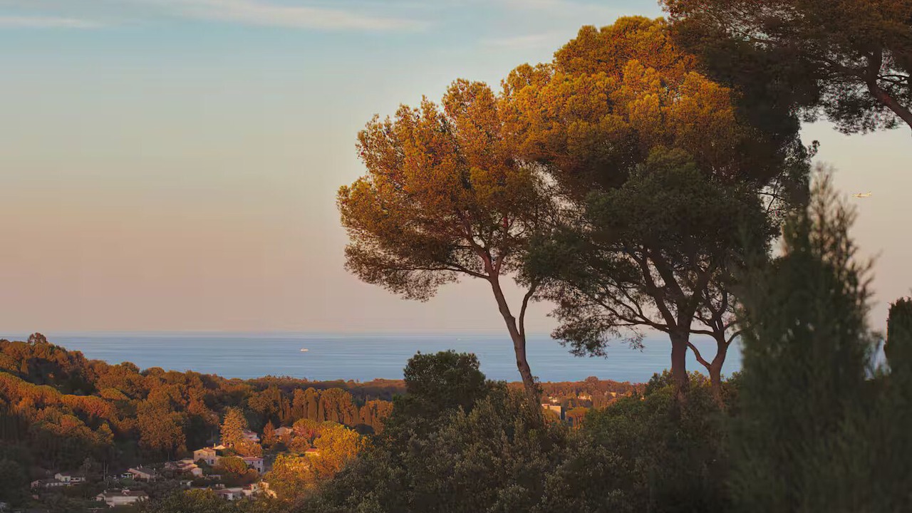 Photo of Others in Biot
