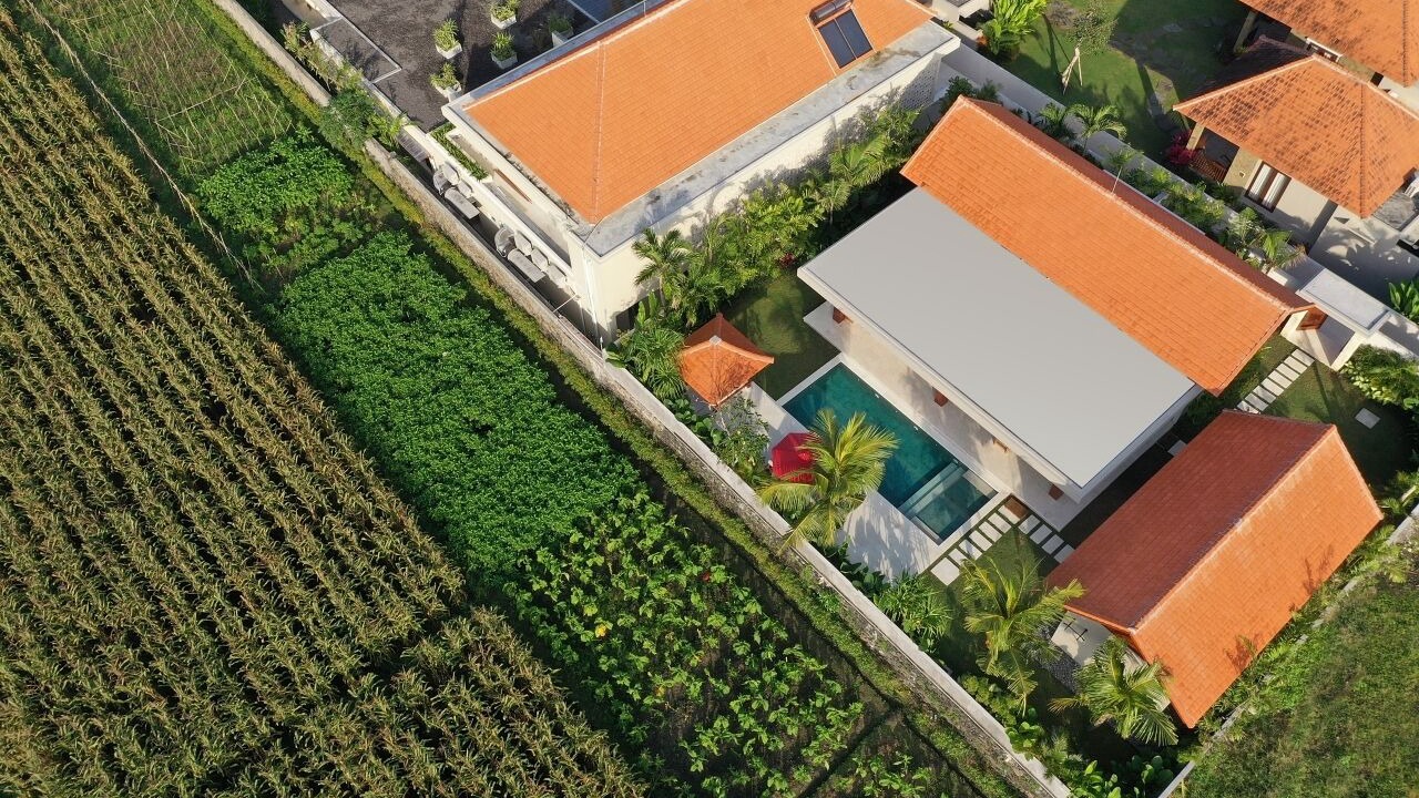 Photo of Outdoor in Kerambitan