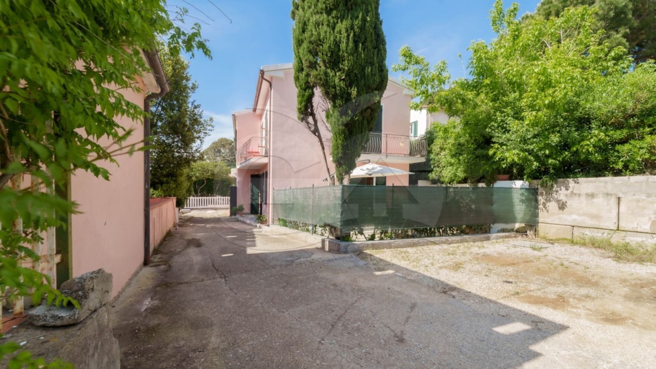 Photo of Outdoor in Procchio