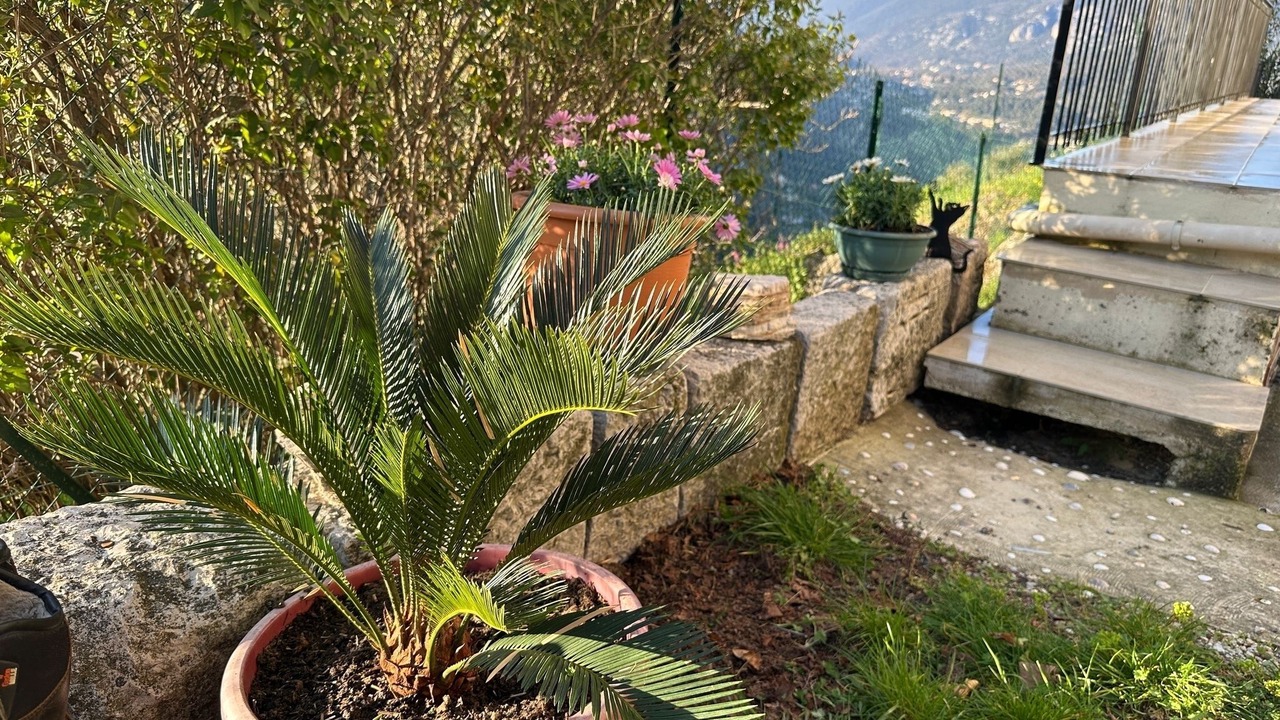 Photo of Outdoor in Aspremont