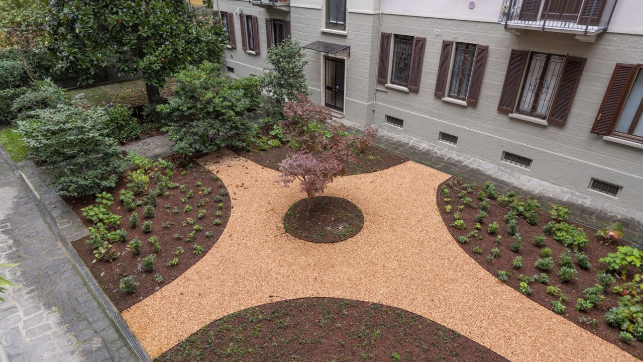 Photo of Outdoor in Washington