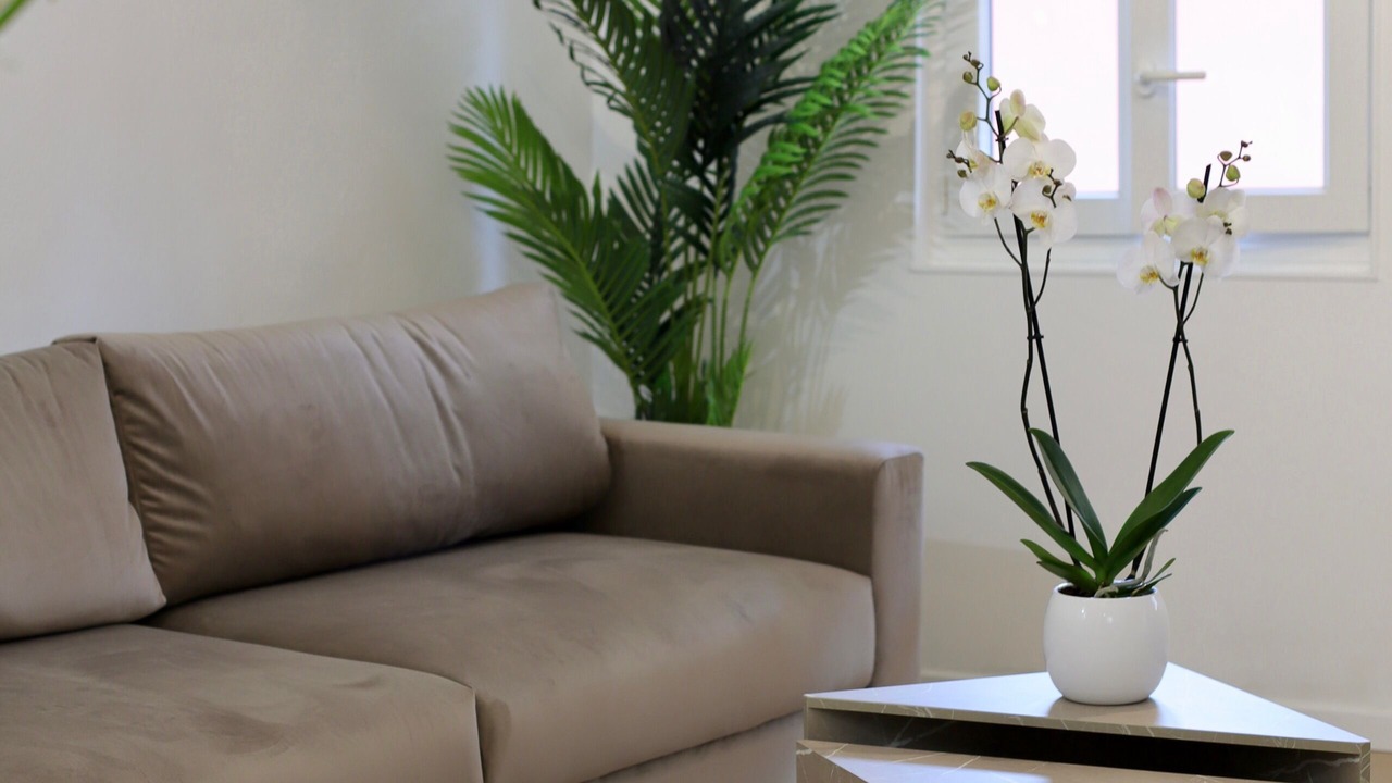 Photo of Livingroom in Quartier du Port