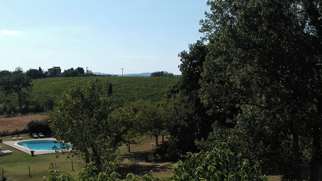 Photo of Others in Foiano della Chiana