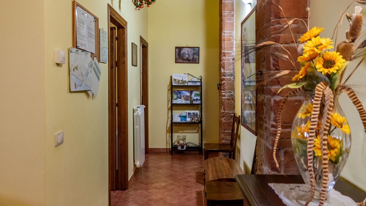 Photo of Others in Castiglione della Pescaia