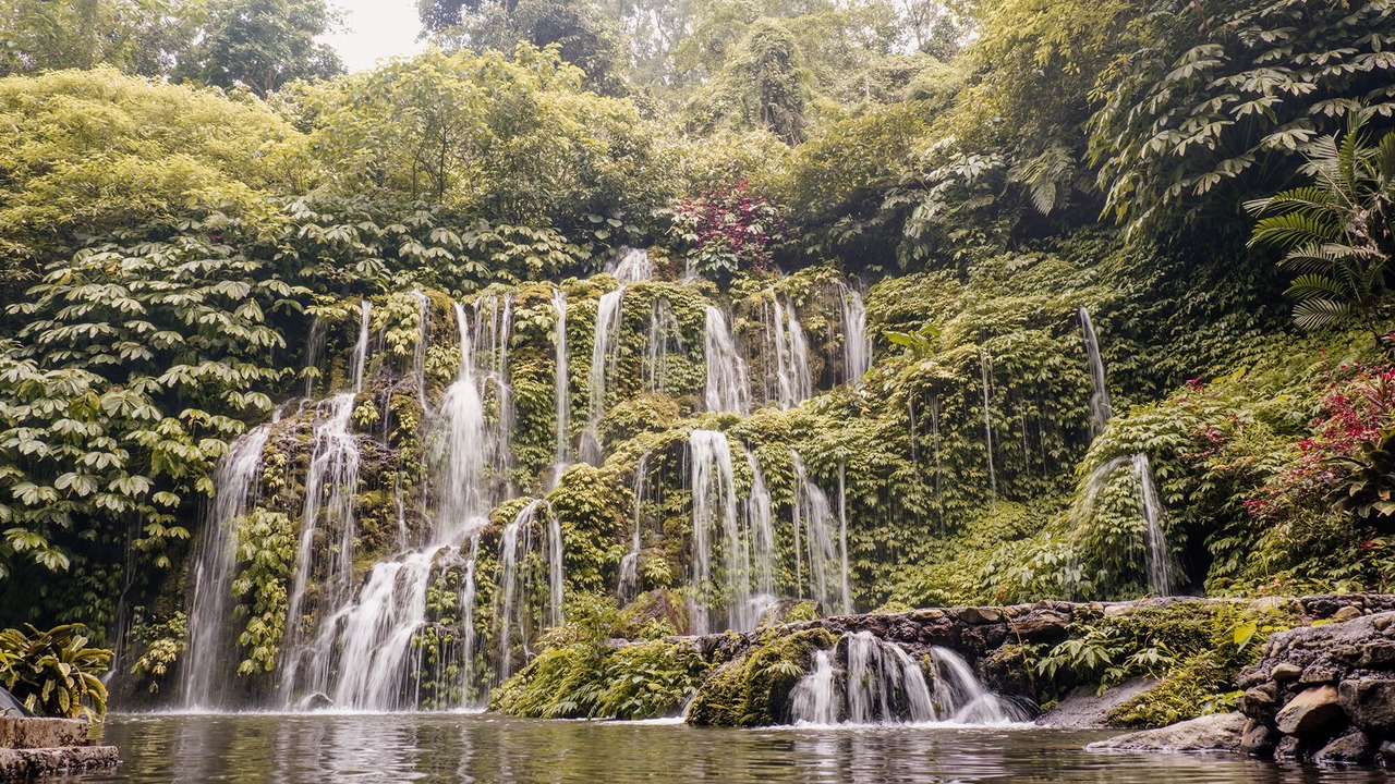 Photo of Others in Wanagiri