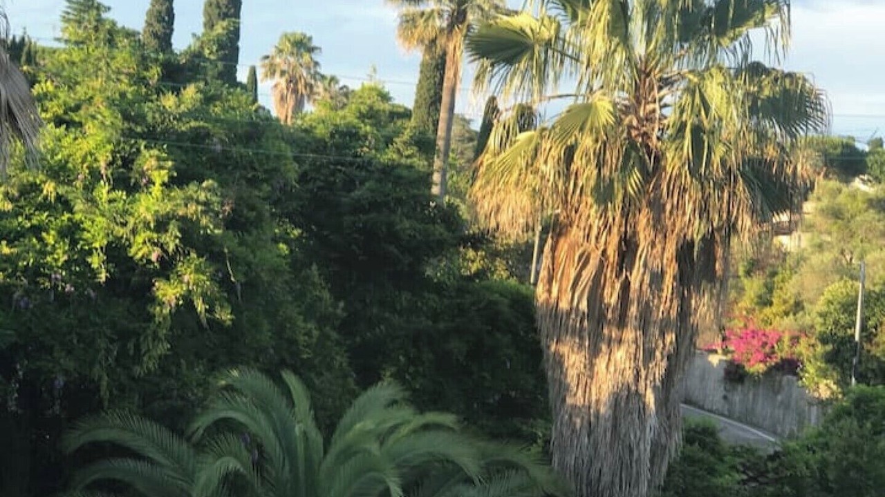 Photo of Others in Cap-d'Antibes