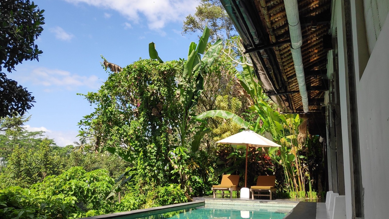 Photo of Outdoor in Kedewatan