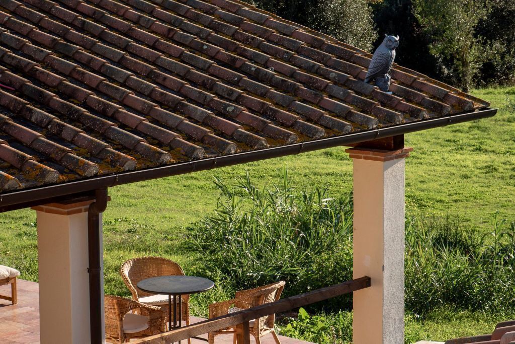 Photo of Outdoor in Manciano