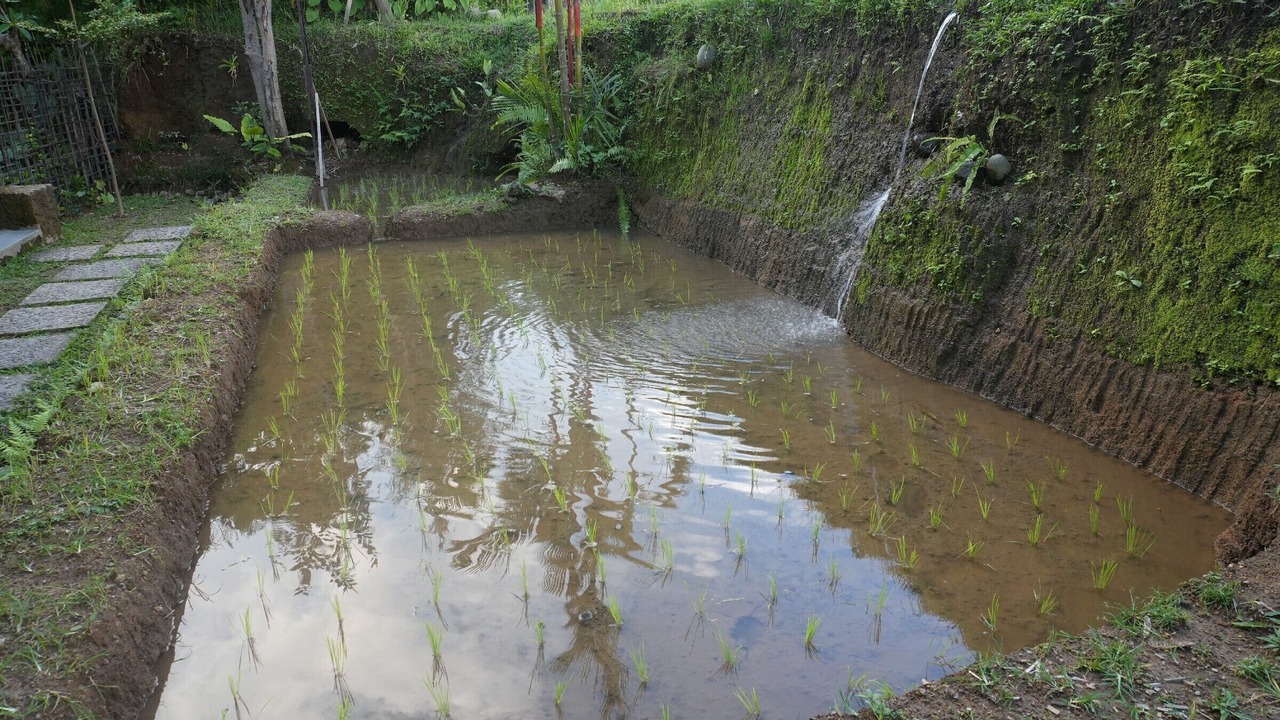 Photo of Outdoor in Payangan