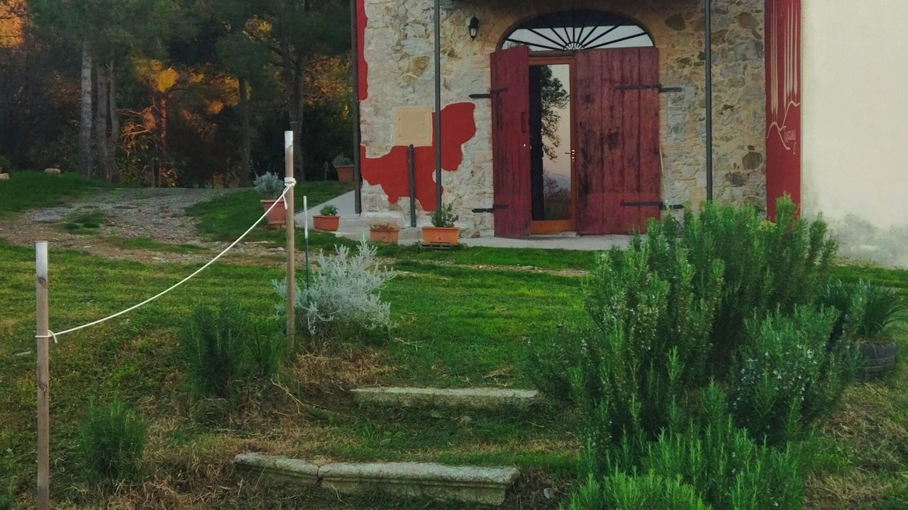 Photo of Outdoor in Castellina Marittima